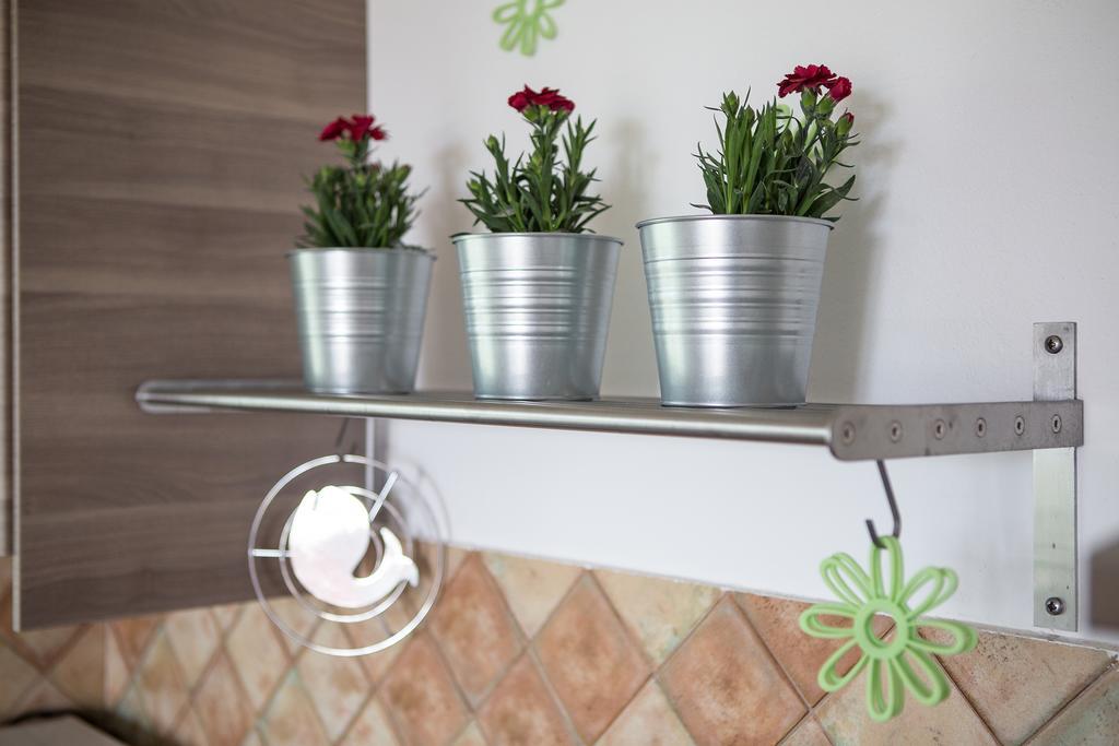Apartments Roza Медулин Экстерьер фото